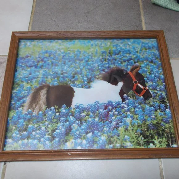 Pony in Bluebonnets print 11"x14" in wood frame! - Picture 2 of 4